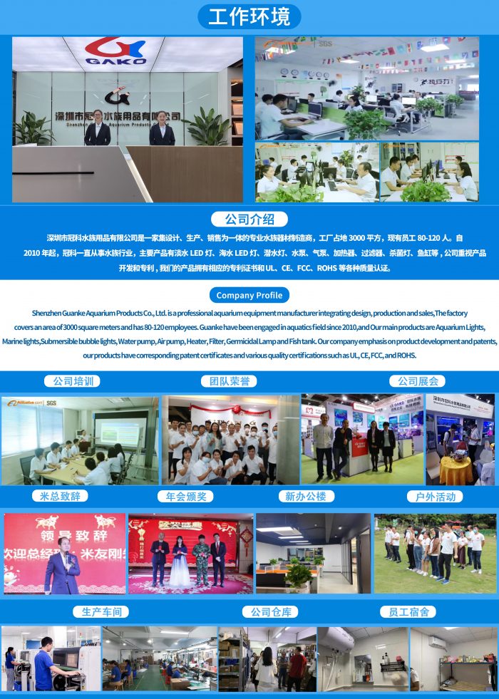 广东省冠科宠物用品有限公司
